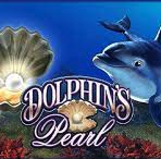 dolphins pearl